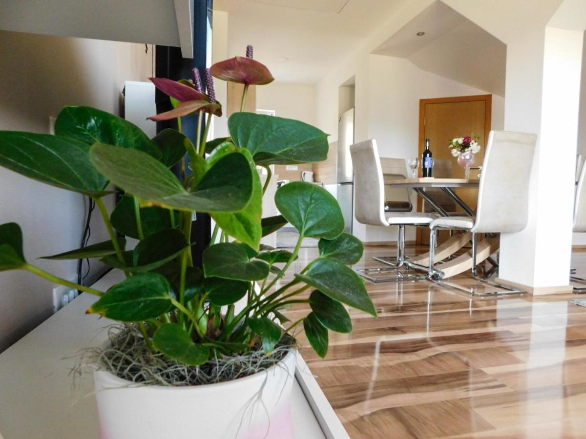 Apartman Lara Otočac 外观 照片